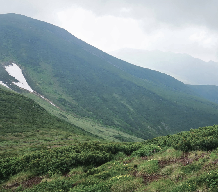 写真：山のイメージ